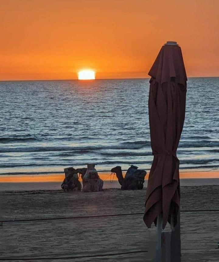 Appartement Deluxe Avec Piscine Privee Agadir Bagian luar foto