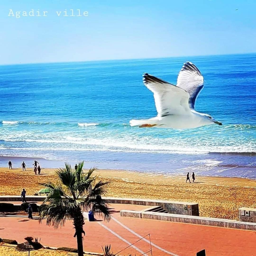 Appartement Deluxe Avec Piscine Privee Agadir Bagian luar foto